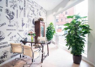 Diseño Farmacia García Cirujeda