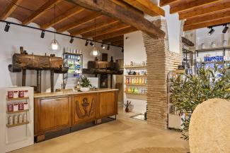 DISEÑO FARMACIA MARA FERRER