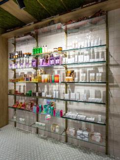 Reforma de farmacia Francisco Mulet